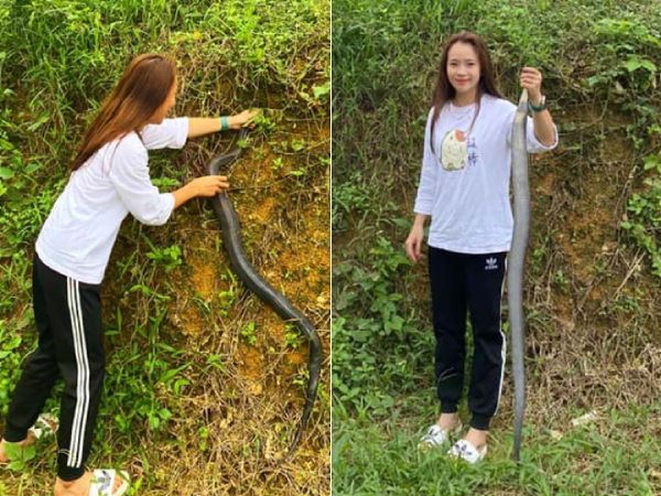 Mơ thấy bắt rắn bị rắn cắn