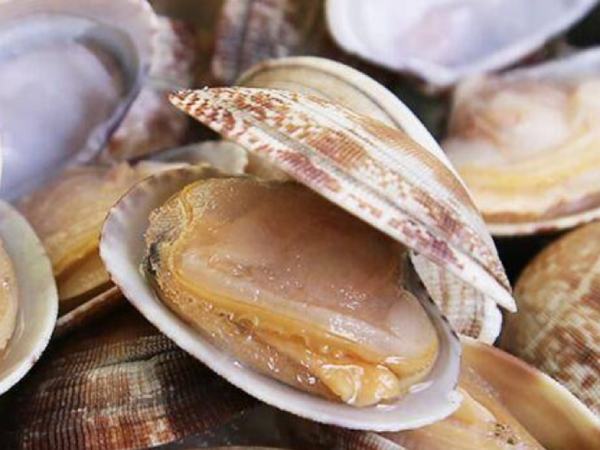 Mơ thấy ngao chết hàng loạt