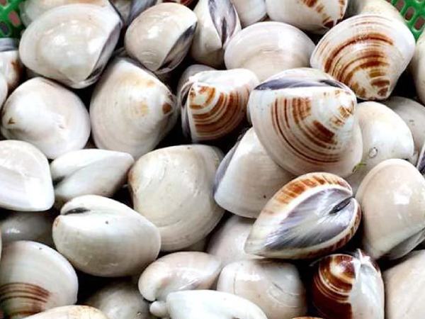 Mộng thấy mình bắt được ngao ngoài bãi biển