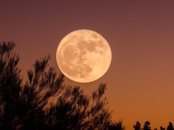 Ngủ mơ thấy mặt trăng là điềm lành hay dữ?